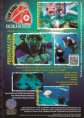 /album/imagenes-y-videos/afiche-publicitario-para-clubes-png/